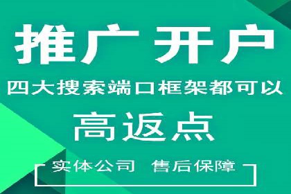 热门SEM运营公司案例深度剖析